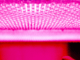 led paneler
